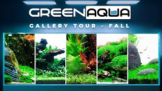 GREEN AQUA Gallery Tour 2024 Fall  Cinematic [upl. by Lavinie]