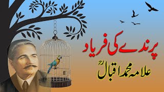 Parinday ki Faryad  Ata ha yad muj ko Guzra hua zamana  Allama Iqbal  Gohar e Sukhan [upl. by Morette137]