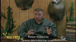 Deer Calling Tips Estrus Bleat Sequence [upl. by Enileqcaj]