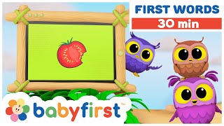 Hoot Scoot amp What  Learn vocabulary for Kids  Learn animals amp words for toddlers  BabyFirst TV [upl. by Erdnassak882]