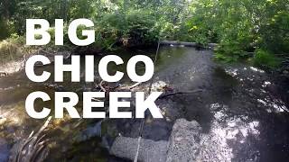 Fishing Big Chico Creek for BASS [upl. by Launame]