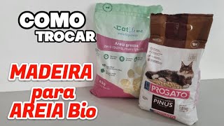 Como fazer a troca do GRANULADO DE MADEIRA para areia biodegradável usando AREIA GROSSA CAT BIO LIFE [upl. by Zilber]