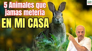 🐙 5 ANIMALES QUE JAMAS METERIA EN MI CASA 🐙 [upl. by Betsy]