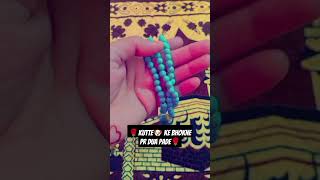 🌹Kutte🐶 ke bhokne pr dua pade🌹trending instagram viralshort viralshorts youtube islam diy [upl. by Paynter]