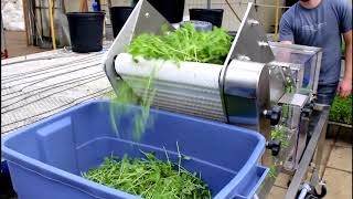 Harvesting Microgreens fast and efficiently [upl. by Ayotac]