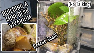 MICRO BIOACTIVE DESK VIVARIUM for Rescue Snail Step by Step [upl. by Ilime]