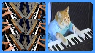 Keyboard Cat but with 6 more keyboards [upl. by Madeline]