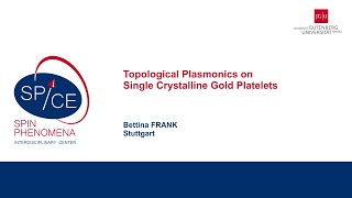 Talks  Spin textures Magnetism meets Plasmonics 2024  Bettina FRANK Stuttgart [upl. by Blanch904]