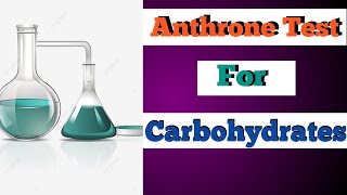 Anthrone Test For Carbohydrates ✔️ Plant Biochemistry 🪴 Stofficial077 [upl. by Cressler838]