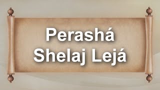 Perashá Shelaj Lejá 5784  Rab Netanel Moshé Duer  Bajurim [upl. by Laurella]