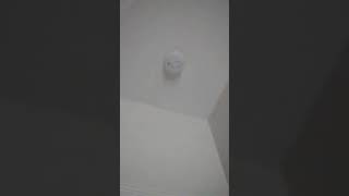 Smoke Detector Chirp sound at the apartment [upl. by Orvie]