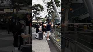 Sa airport shorts singapore fypシ゚viral shortvideo hallelujah trendingshorts music viral [upl. by Yerac]