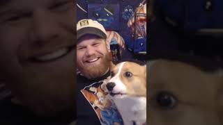 Corgi Barks at water drops  slyoctopie on Twitch [upl. by Ydnagrub]