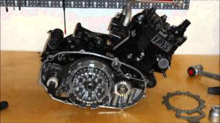 RDRZ 350 YPVS Engine rebuild [upl. by Cenac]