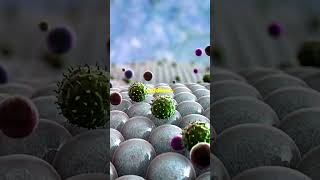 Antibodies vs Antigens Whats the Difference wassce integratedsciencebiology naturalscience [upl. by Falzetta]