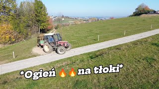 Oporowy wywóz 🚜 obornik na łąke 🌾 ♦️ Zetor w akcji 🚜 [upl. by Mossolb]