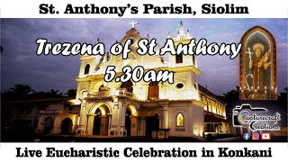 12th Day of Trezena Konkani Mass Live at 530am  14th June 2024  St Anthonys Church Siolim [upl. by Yule106]