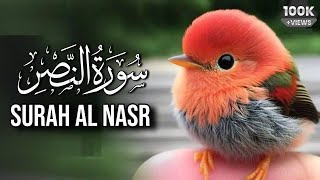 Surat AnNasr The Divine Support  سورة النصر I Beautiful Recitation [upl. by Valaria]