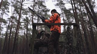 Drückjagd im mittleren Niedersachsen  Jagdkrone [upl. by Shaina]