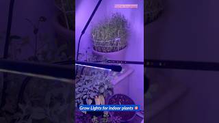 Grow lights for indoor plants  Canada [upl. by Flavian]