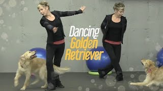 Dancing Golden Retriever Dog Gwen Verdon Amazes with Moves [upl. by Klara672]