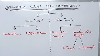 Transport across the Cell Membrane  Plasma Membrane  Active and Passive Transport [upl. by Haerle]