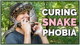 Can you Overcome a Fear of Snakes by Getting One [upl. by Socha]