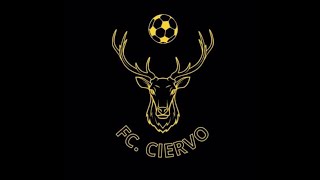 Ciervo FC vs Logroñes [upl. by Madelyn641]