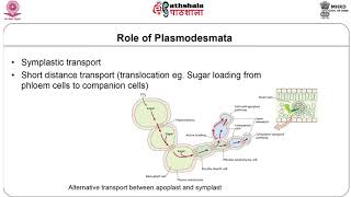 M29 Plasmodesmata [upl. by Ahtera]