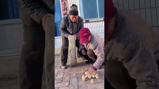 Process of crushing walnuts with grindstone [upl. by Sotos]