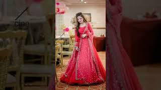 rabeeca Khan wedding rabeeca new volg rabeeca Khan [upl. by Edwina]