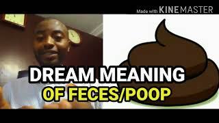 Biblical Meaning of Dream about Feces or Poop spiritualitytv [upl. by Ode325]