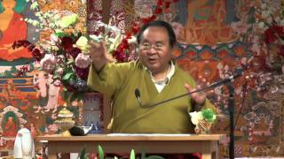 Sogyal Rinpoche  What to do with anger [upl. by Goldstein]