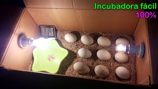 Cómo hacer una incubadora de huevos para incubar huevos de pato en casa fácilmente [upl. by Holt710]