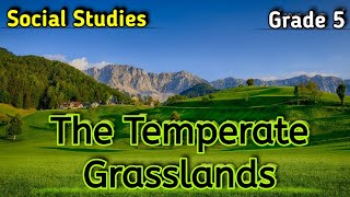 The Temperate Grasslands class 5 Social Studies  ExplanationLocationClimateVegetationCbseNcert [upl. by Ethelind452]