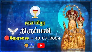 🔴 LIVE  Sunday Holy Mass in Tamil  28th July 2024  Annai Vailankanni Shrine  Besant Nagar Annai [upl. by Conan]