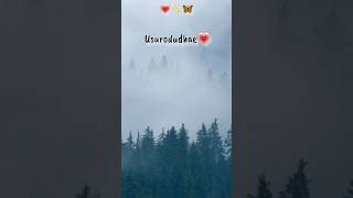 Vaaya En Veera song whatsapp status in tamil love shortsfeed [upl. by Ilyssa]