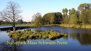 Naturpark MaasSchwalmNette  De Wittsee  Niederrhein [upl. by Aerdnak731]