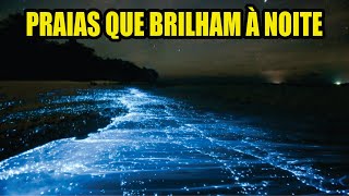 Praias Que Brilham à Noite  Mar de Estrelas [upl. by Jory]