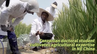 GLOBALink  Tanzanian doctoral student cultivates agricultural expertise in NE China [upl. by Oleic715]