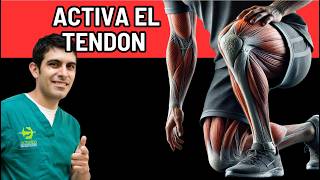 2 ejercicios que ACTIVAN EL COLÁGENO DE LOS TENDONES DE RODILLA [upl. by Dublin]