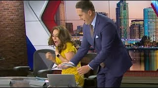 TV anchor scared with snake during live newscast [upl. by Leahcimaj640]