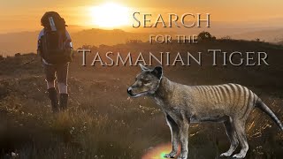 Does the Tasmanian Tiger Thylacine still exist at the Spero River Tasmania [upl. by Khalsa]