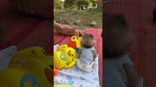 Baby Playing Toys With Mom and Brother [upl. by Albina169]