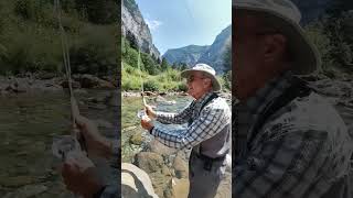 Fly fishing in the month of August in Torla [upl. by Agni]