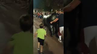 Encierro de toros ecológico shorts niños disfrutando de los toros 🐂 toro de la vega sin heridas [upl. by Isle936]