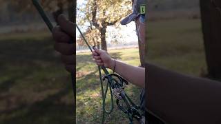 Huge tip for saddle hunting hunting deerhunting subscribe archery deerseason [upl. by Hayott556]