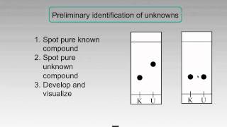 Thin Layer Chromatography  Applications [upl. by Mariann898]