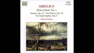 Jean Sibelius  Six Impromptus Op 5 No 2 in G minor [upl. by Ailemaj]