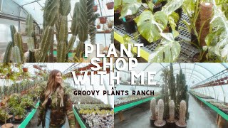 THE COOLEST PLANT SHOP  RARE FINDS 500😱 COME PLANT SHOPPING WITH ME AT GROOVY PLANTS RANCH [upl. by Niro]